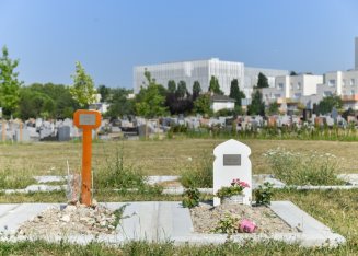 Carré musulman du cimetière de Saint-Denis