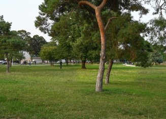 Scène de vie au parc Cachin