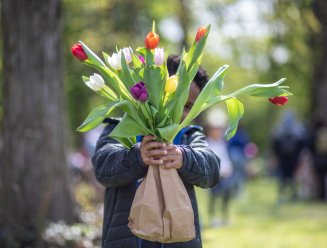 Enfant tenant un bouquet de tulipes dans les mains