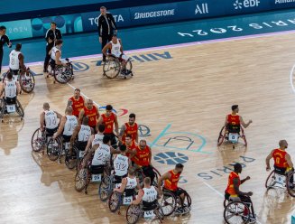 Basket fauteuil