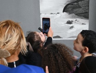 Exposition Faune 
