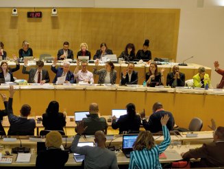 Conseil municipal vote budget 2025