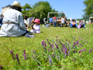 Photo d'illustration de la Fête de la nature