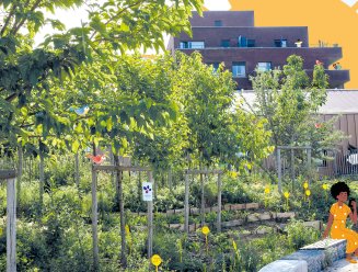 À Saint-Denis, la nature prend ses quartiers