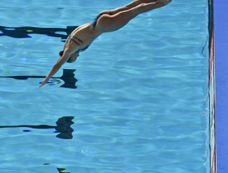 plongeon