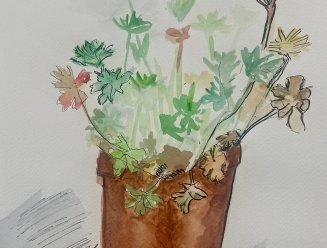 Stage dessin octobre
