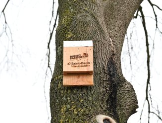 Abris à chauve-souris en bois accroché dans un arbre 