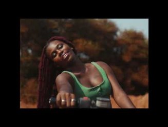 Oumou Sangaré - Wassulu Don (Official Video)