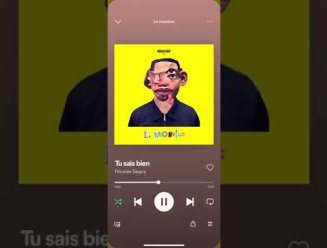 Nicolas Séguy - Tu sais bien (Clip Officiel)