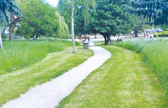 Square Fabien