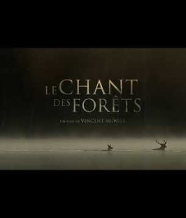LE CHANT DES FORÊTS - Teaser